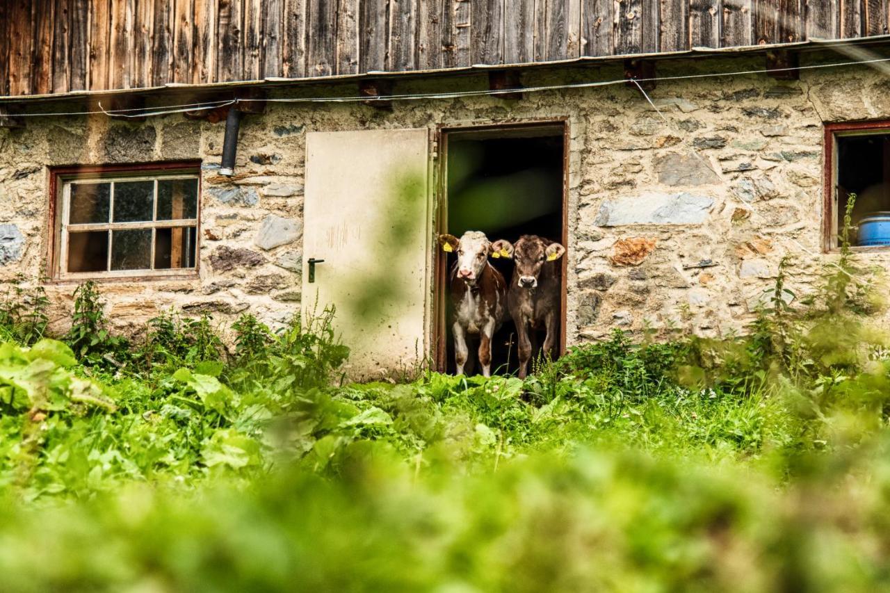 Haus Brigitta Lägenhet Tux Exteriör bild